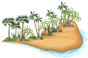 Tropical destination illustration
